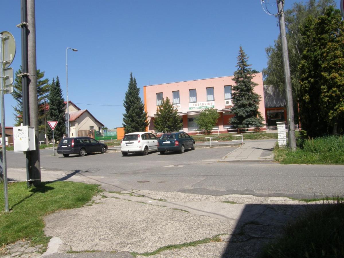 Alisa Apartments Kostomlaty nad Labem Екстер'єр фото