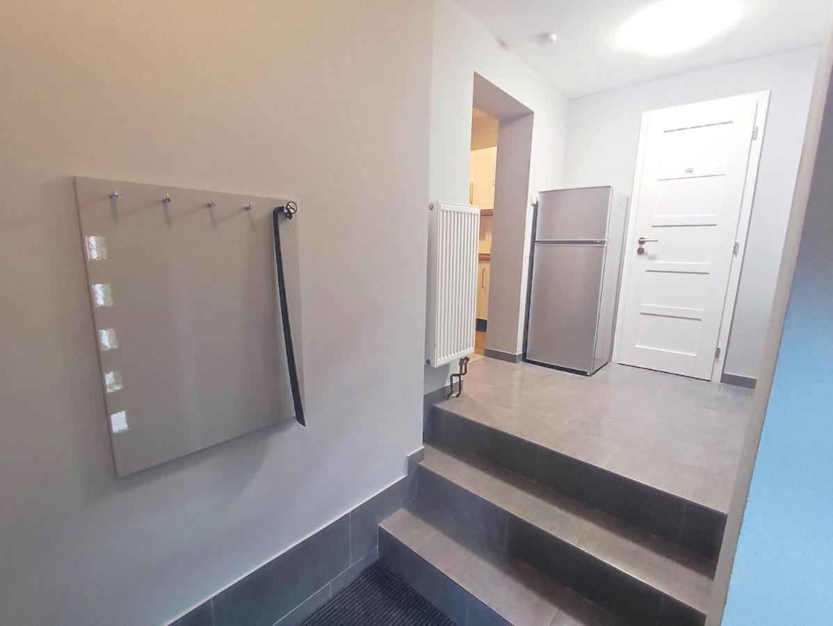 Alisa Apartments Kostomlaty nad Labem Екстер'єр фото